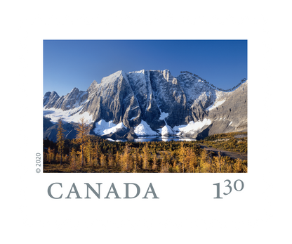 From Far and Wide (2020) U.S. rate stamps coil of 50