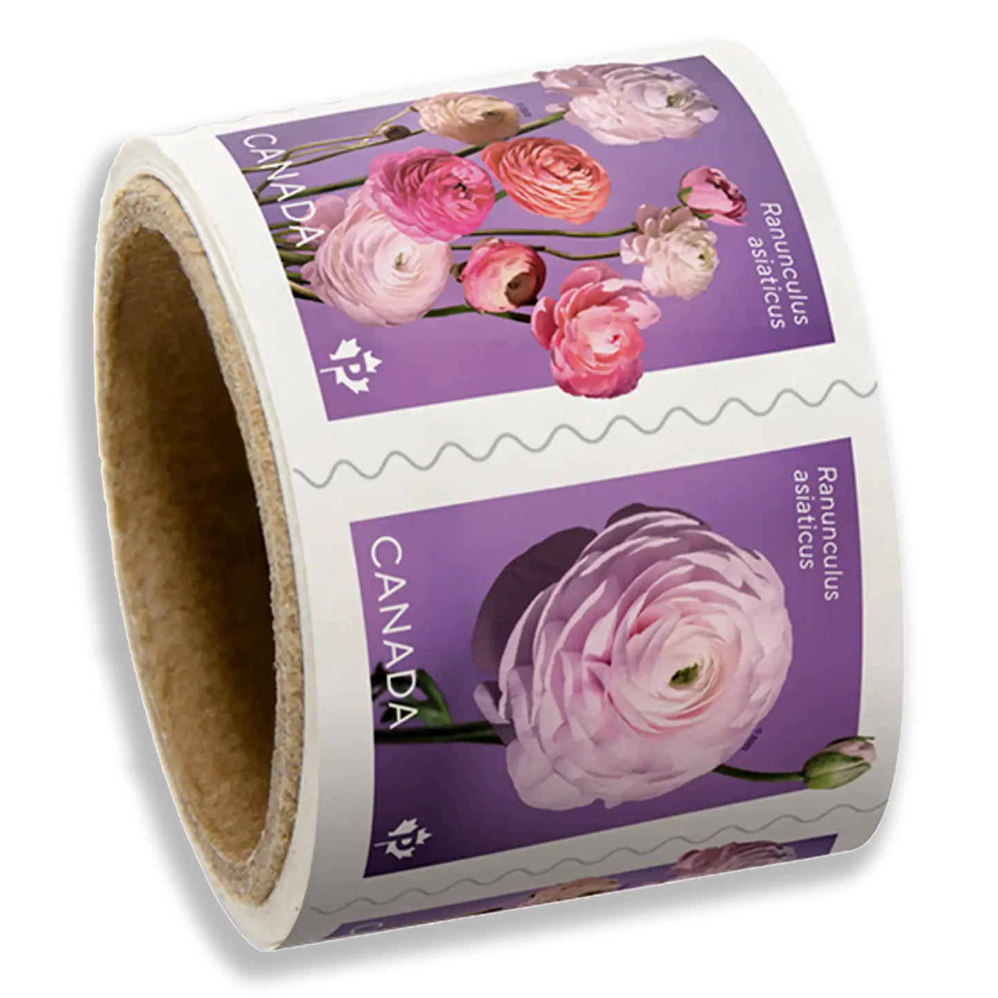 Ranunculus Permanent domestic rate stamps coil of 50