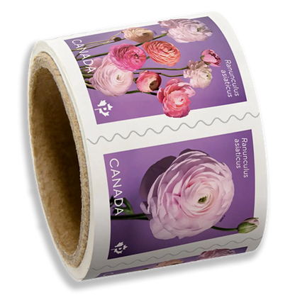 Ranunculus Permanent domestic rate stamps coil of 50