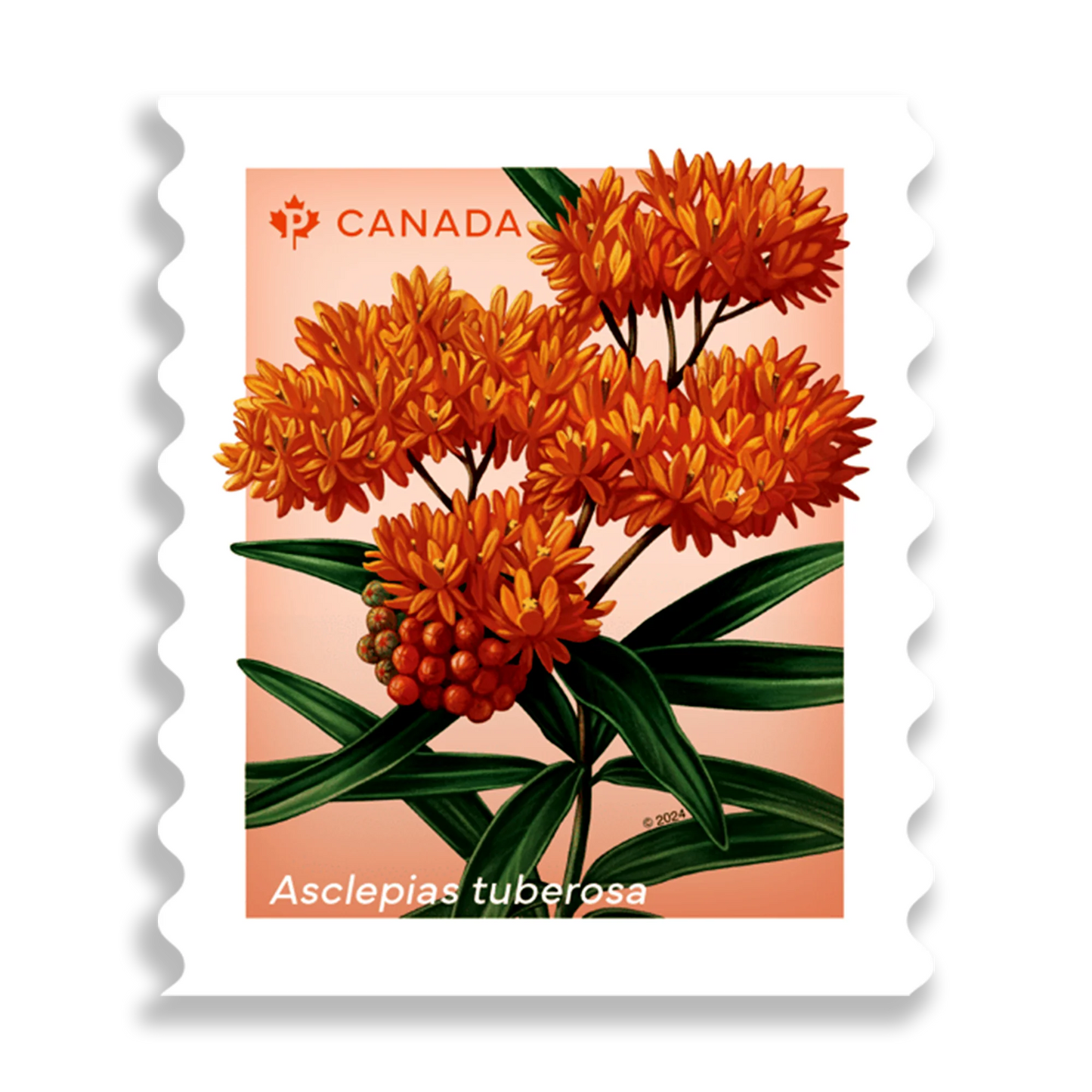 Wildflowers coil of 50 Permanent stamps