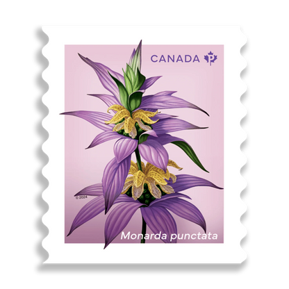 Wildflowers coil of 50 Permanent stamps