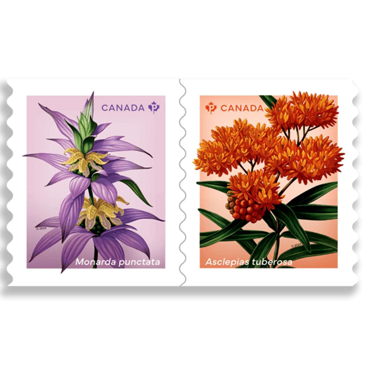 Wildflowers coil of 50 Permanent stamps