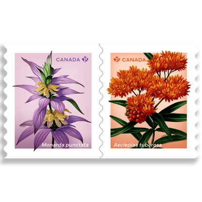Wildflowers coil of 50 Permanent stamps